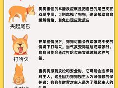 -博特宠物医院24h犬猫全科.骨科·异宠