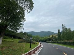 -习家池
