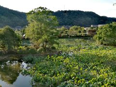 -明月山天沐温泉度假村