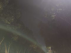 -羊山湖公园