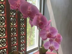 -北京四季酒店·采逸轩