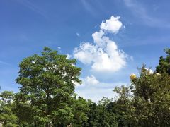 -伦教678文化街