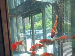 -浩运海鲜·16年专注青岛菜(石老人店)