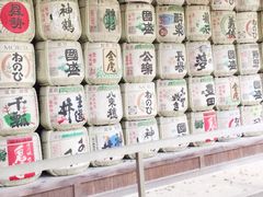 -名古屋城