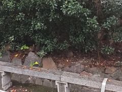 -雨花胜境