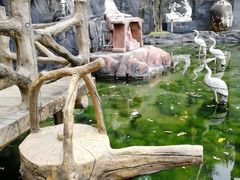 -汉中石门栈道景区