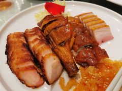 -千灯盛汇·头牌粤菜(致越优城店)