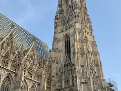 -斯蒂芬主教座堂(Stephansdom)
