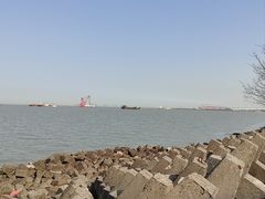 -上海滨江森林公园