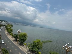 -野菌皇海景野生菌火锅(滨海大道店)