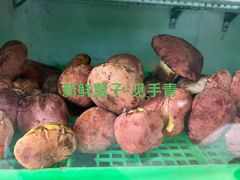 -山菌美食苑(振兴路店)