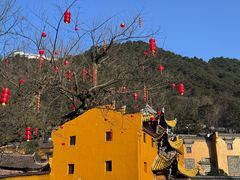 -九华山聚龙大酒店