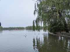 -洛阳市隋唐城遗址植物园