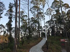 -水濂山森林公园