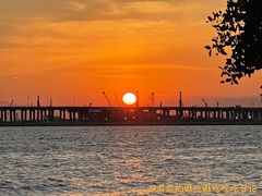 -宝安西湾红树林湿地公园