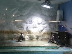 -北戴河圣蓝海洋公园