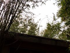 -咸宁万豪温泉谷度假区