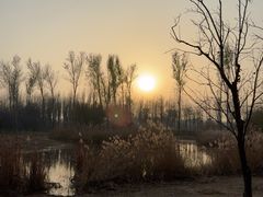 -东郊湿地公园