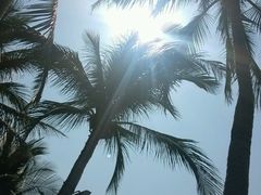 android_upload_pic-三亚亚龙湾天域度假酒店