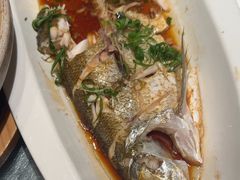 -新雅粤菜馆(南京东路店)