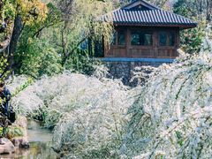 -中国茶叶博物馆(双峰馆区)