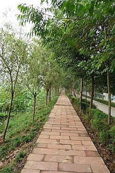 -三圣花乡旅游区