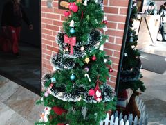 -一兆韦德健身(慧芝湖店)