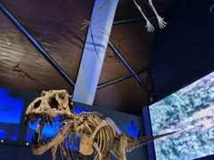 -贝林大翅鲸简餐厅(国家海洋博物馆店)