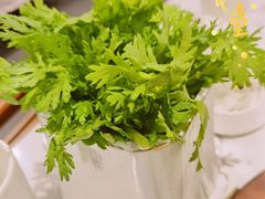 -丁卯•铜锅涮肉(工体店)