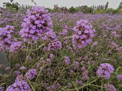-敦煌莫高国际机场