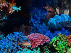 -中国湿地博物馆