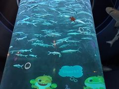 -香港海洋公园