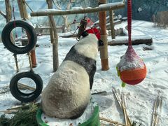 -鄂尔多斯野生动物园