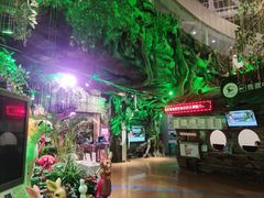 -正佳雨林生态植物园