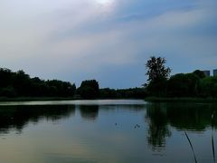 -大兴滨河森林公园