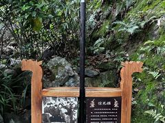 -十八棵（老龙井）御茶园(老龙井店)