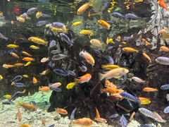 -太平洋海底世界