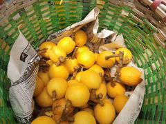 -塘栖枇杷特色园区