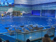 -多彩贵州城极地海洋世界