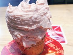 -野人先生现做冰淇淋(北京顺义祥云小镇店)
