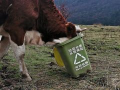 -硗碛藏寨·神木垒景区