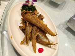 -金米箩大酒店(五角场店)