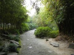 -汇龙潭