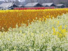 -中国天府农业博览园