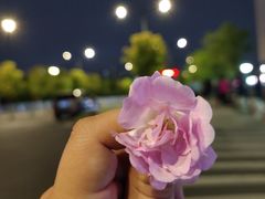 -海底捞火锅(茂业店)