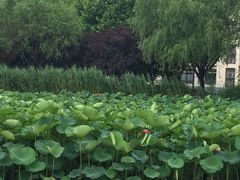 -东华大学(松江校区)
