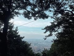 -惠山国家森林公园