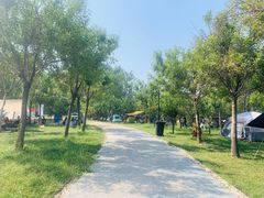 -东堤公园