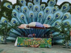 -灵玲国际马戏城
