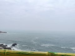 -广东惠东海龟国家级自然保护区